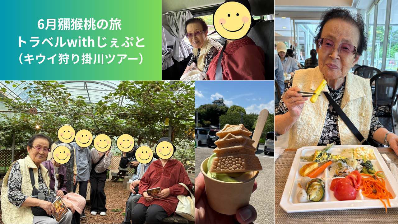 🥝獼猴桃の旅：掛川キウイ狩りツアー🥝